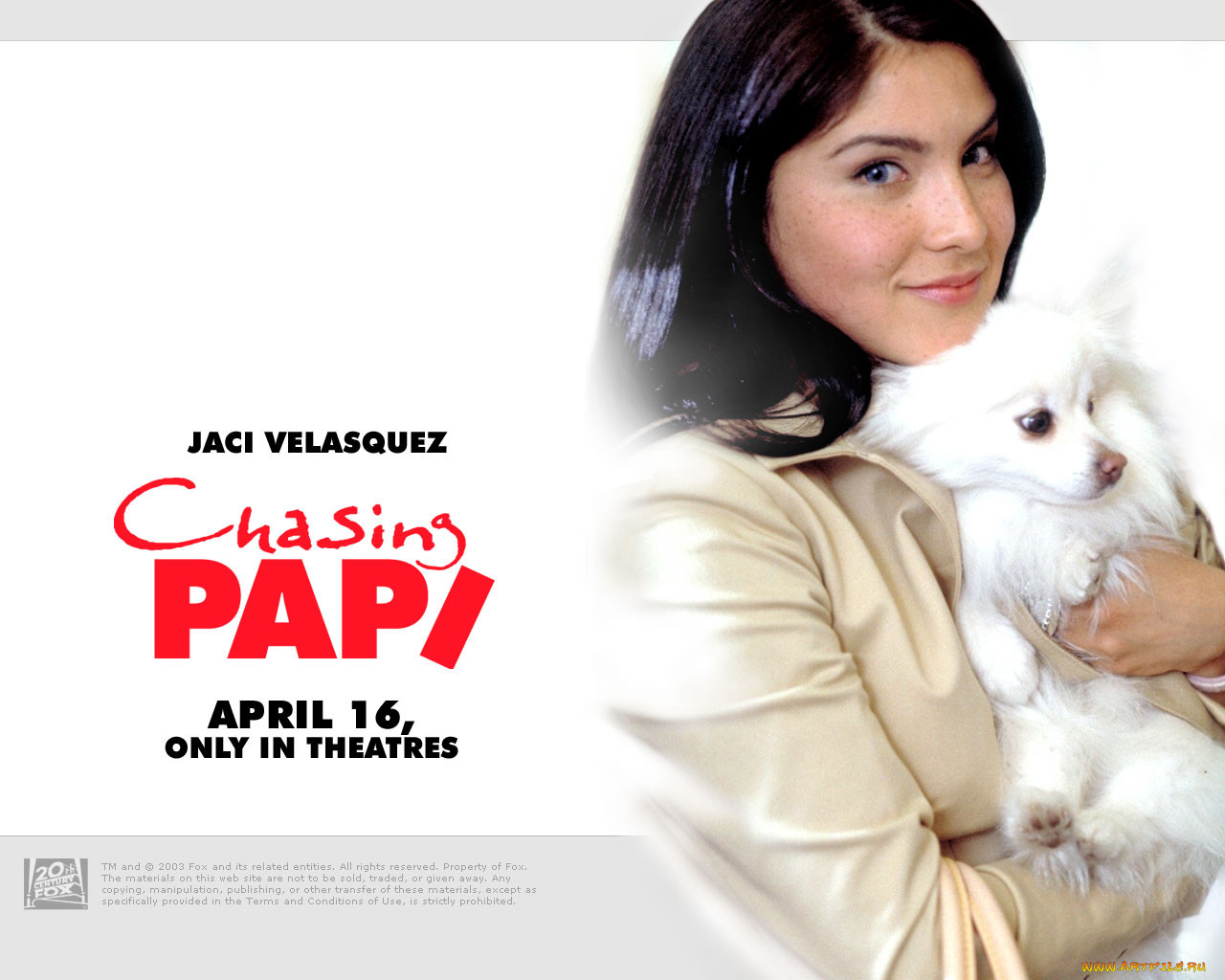 chasing, papi, , 